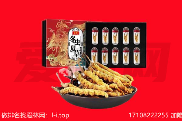 东方市回收虫草.jpg